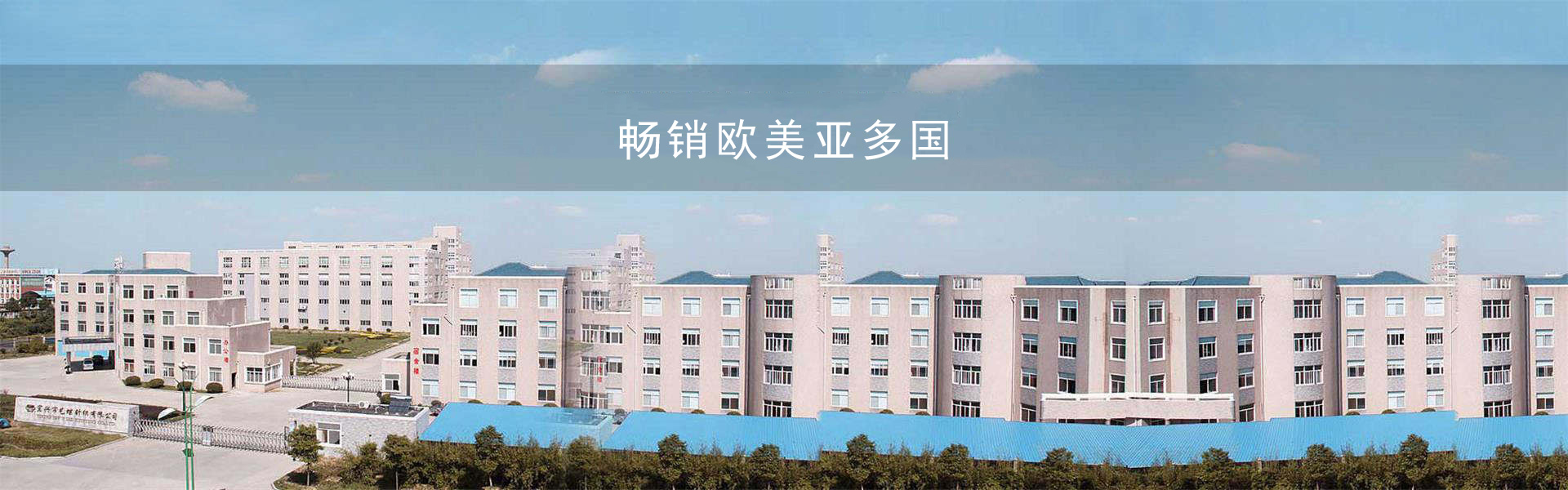 网袜，经编无缝，瑜伽服，无缝，性感内衣